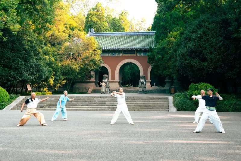 Illustration de l'événement : Stage de Qi gong avec un Maître chinois
