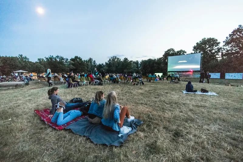 Illustration de l'événement : Soirée cinéma en plein air