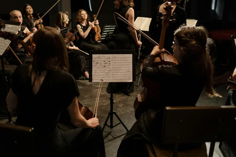 Illustration de l'événement : Orchestre national Auvergne-Rhône-Alpes | Festival Europavox 2026
