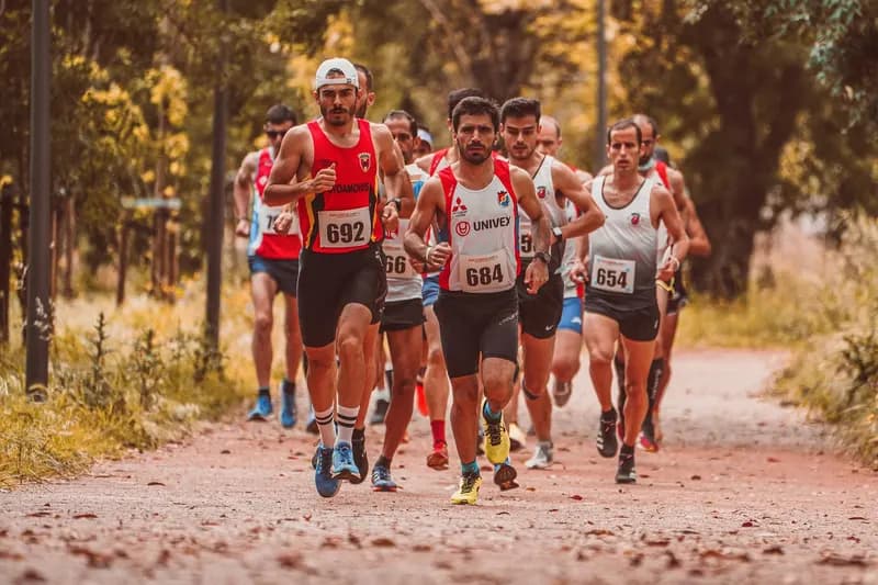 Illustration de l'événement : TRAIL DES FRONTIGNES