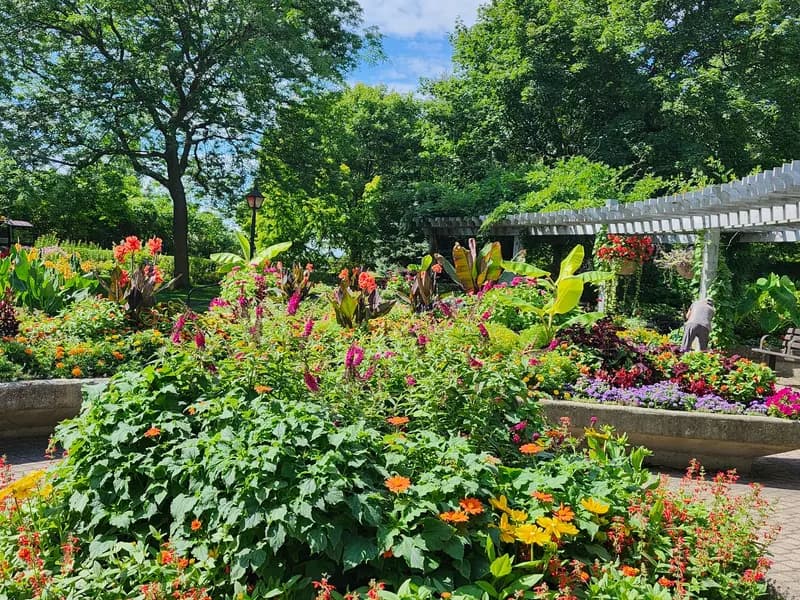 Illustration de l'événement : Dédicaces avec Eric Lenoir et vente de plant(e)s avec la Super épicerie