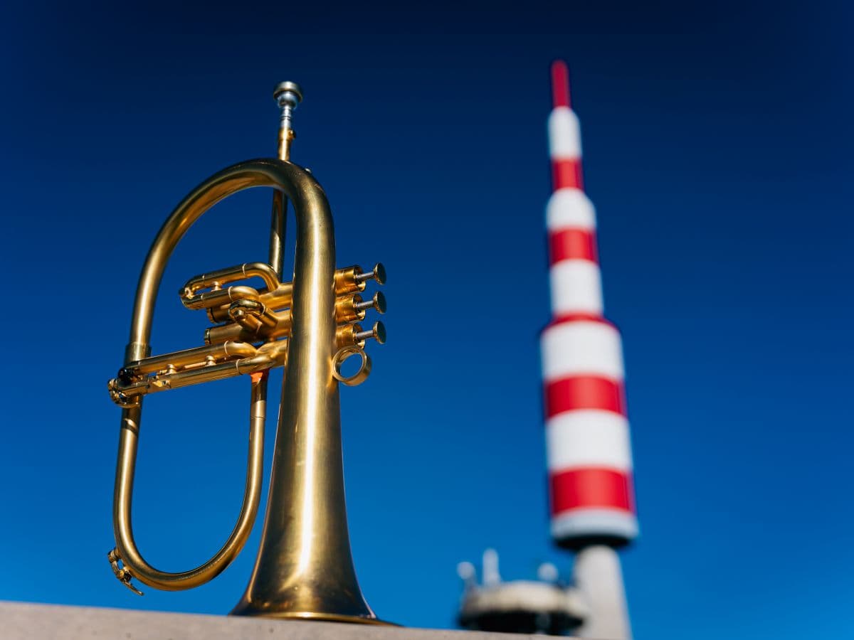 Illustration de l'événement : LA TOURNÉE INSOLITE - VISITES GUIDÉES MUSICALES