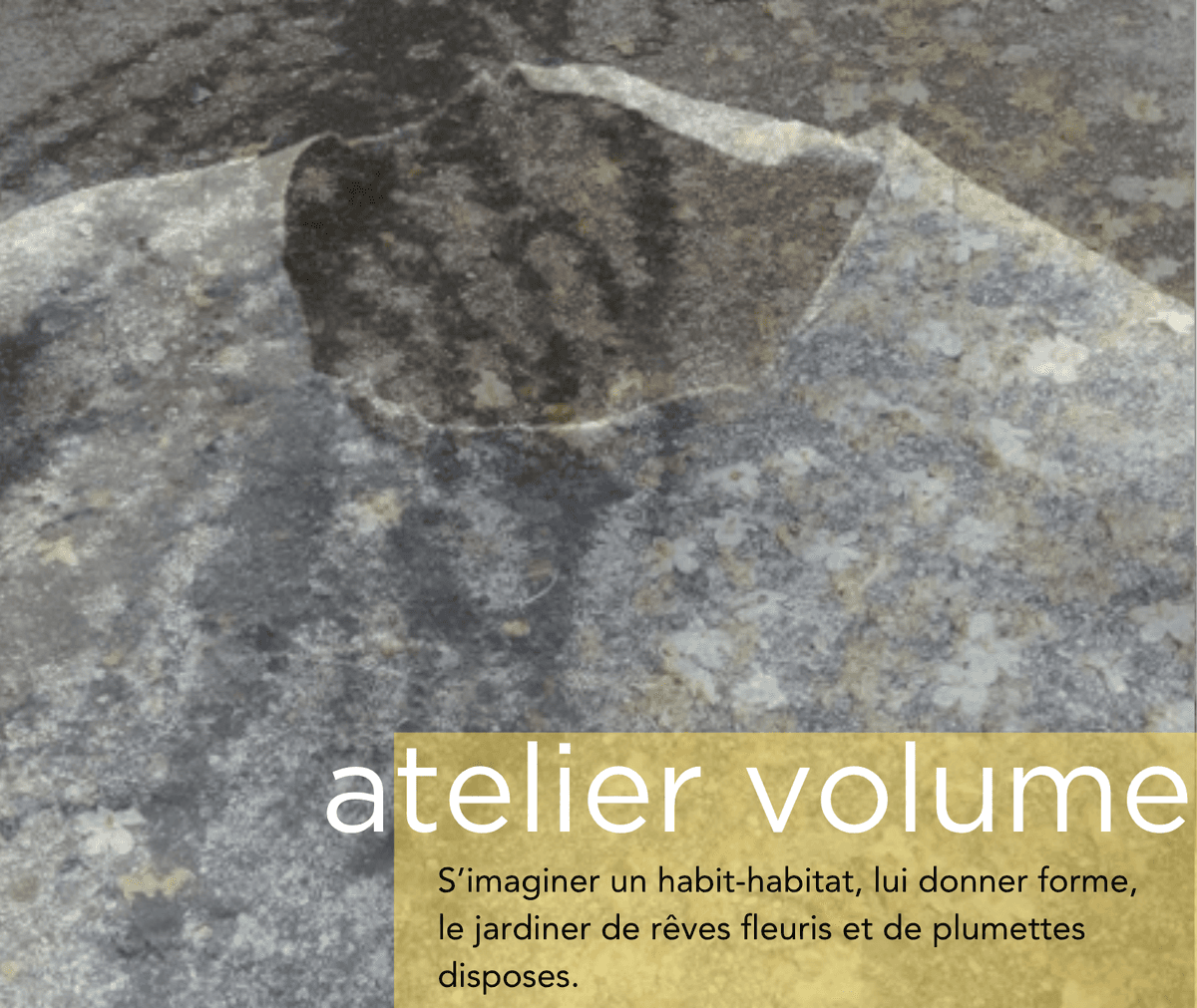Illustration de l'événement : ATELIER VOLUME AVEC CLAIRE JOURNER