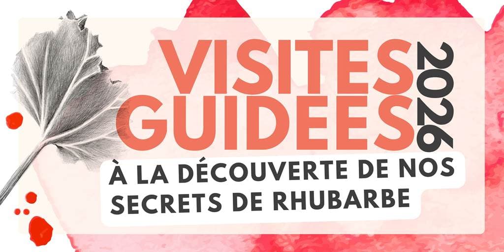 Illustration de l'événement : Visites guidées - à la découverte de nos secrets de rhubarbe