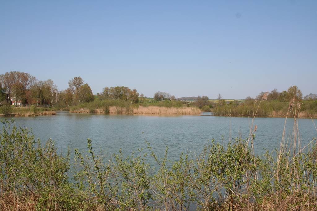 Illustration de l'événement : L'été aux Tourbières