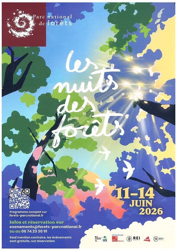 Illustration de l'événement : Les Nuits des forêts - En la forêt de longue attente