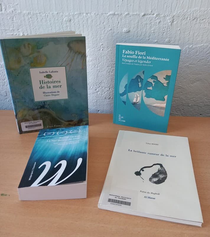 Illustration de l'événement : L’instant lectures – Ode à la grande bleue