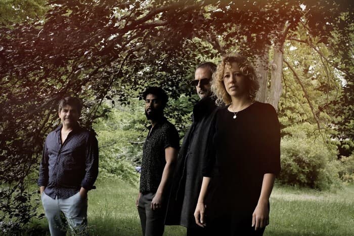 Illustration de l'événement : Stéphane Hoareau_Trans Kabar - Concert - Festival Aux heures d’été