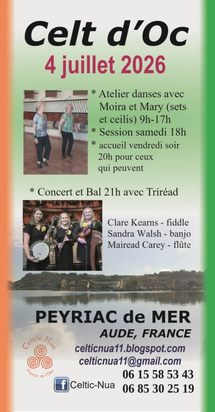 Illustration de l'événement : Stage de danses irlandaises