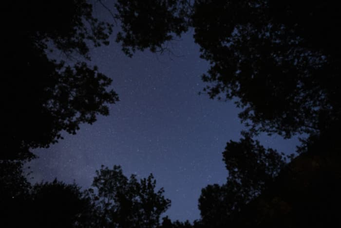 Illustration de l'événement : Que nous réserve le paysage nocturne ce soir?