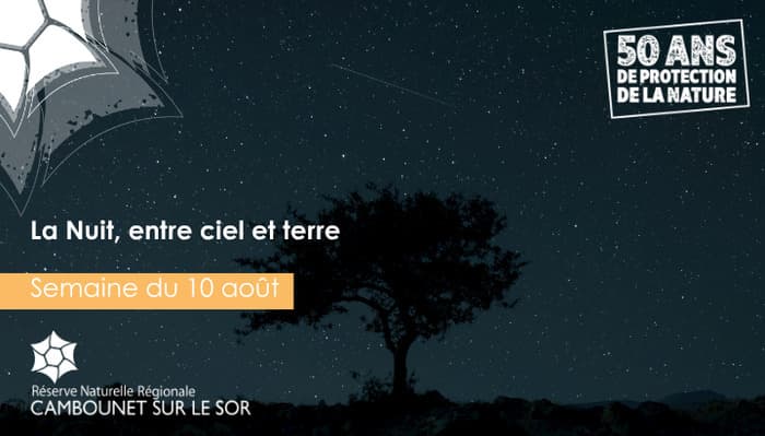 Illustration de l'événement : La Nuit, entre ciel et terre