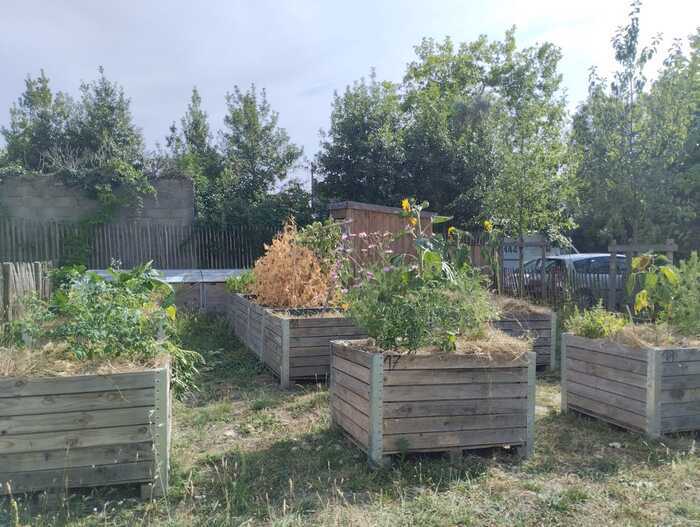 Illustration de l'événement : Atelier jardinage à Romain Rolland