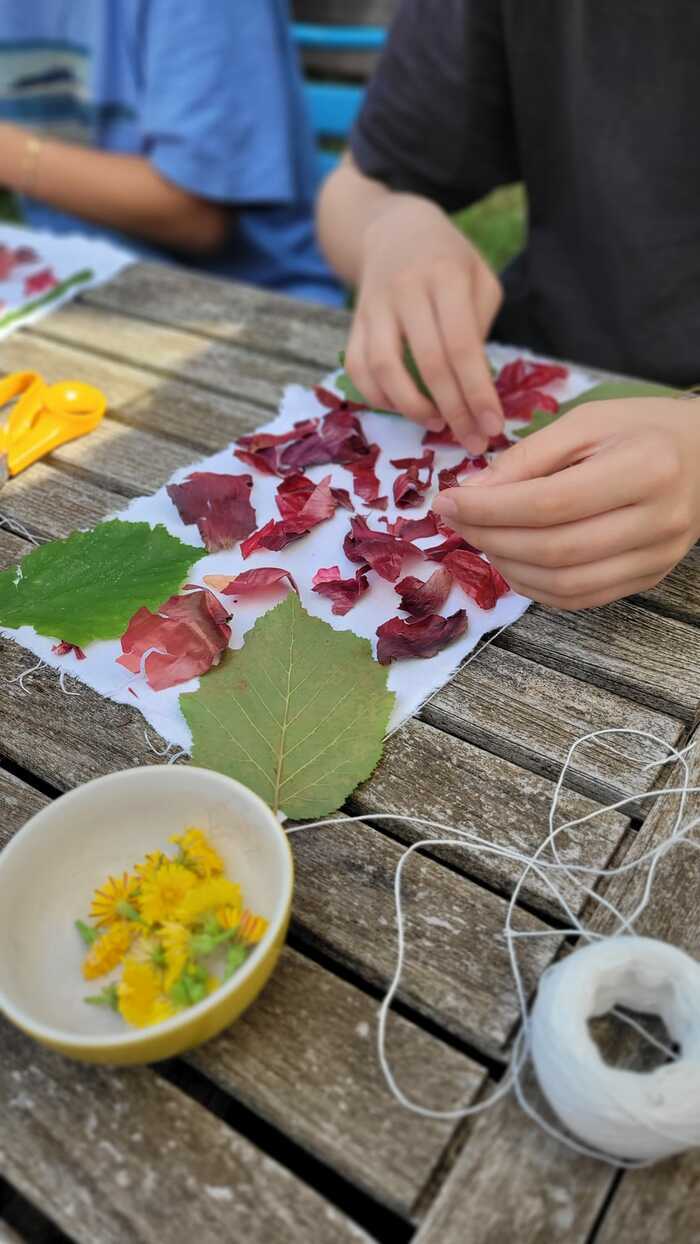 Illustration de l'événement : Teinture végétale, du tataki zome et de l’écoprint