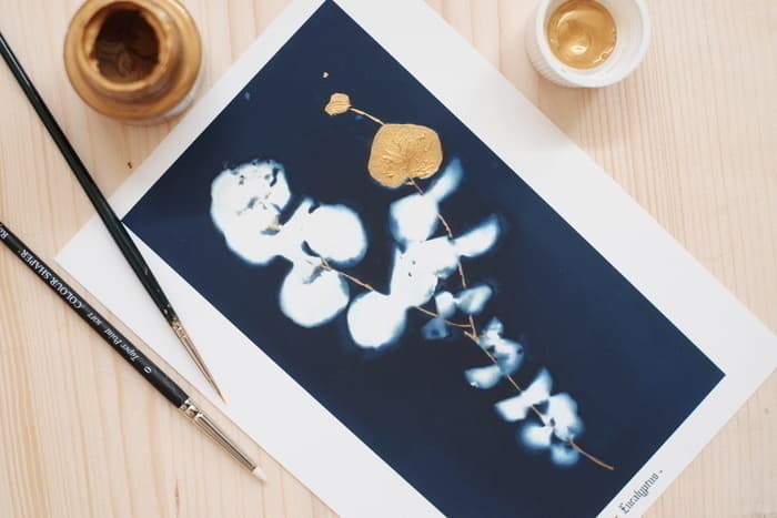 Illustration de l'événement : Atelier cyanotype