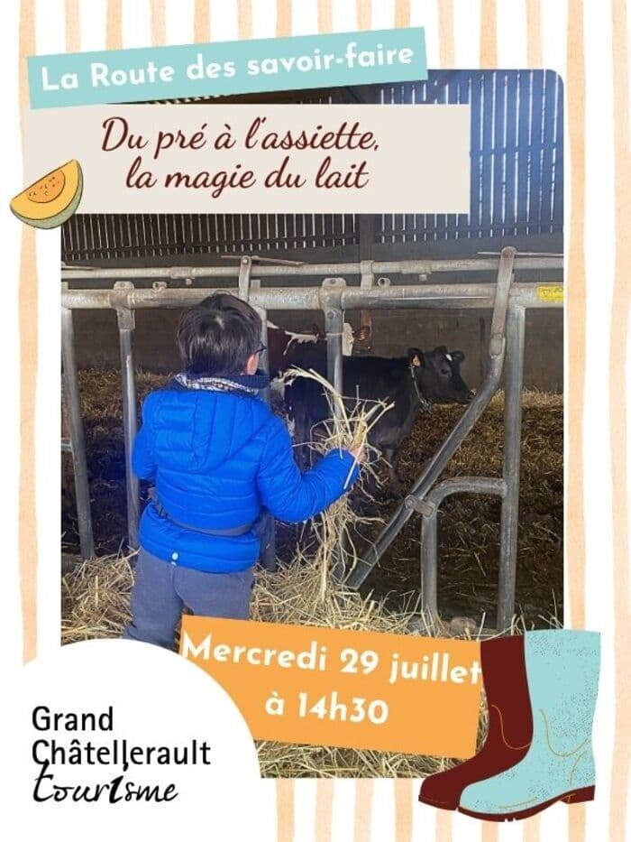 Illustration de l'événement : Du pré à l'assiette, la magie du lait