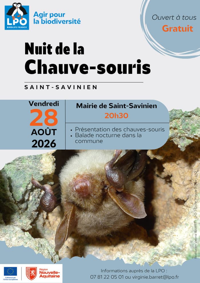 Illustration de l'événement : Les chauves-souris de Saint-Savinien