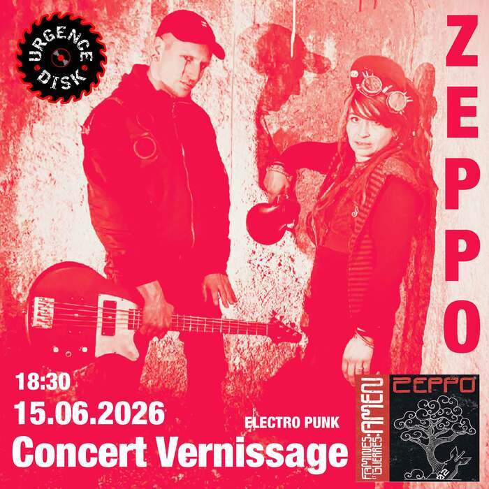 Illustration de l'événement : Zeppo_ch_electro punk (concert vernissage)