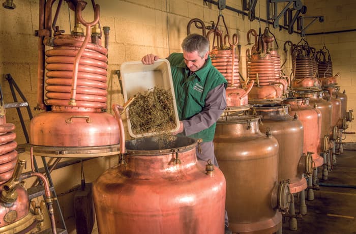 Illustration de l'événement : Visite guidée de la Distillerie - Verveine du Velay Pagès
