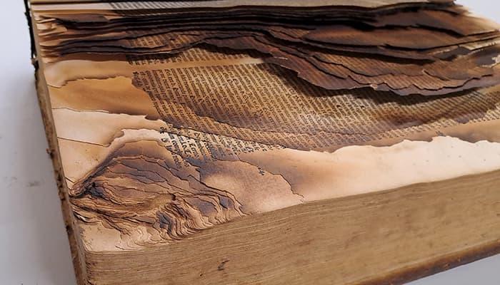 Illustration de l'événement : Les livres moches du Patrimoine