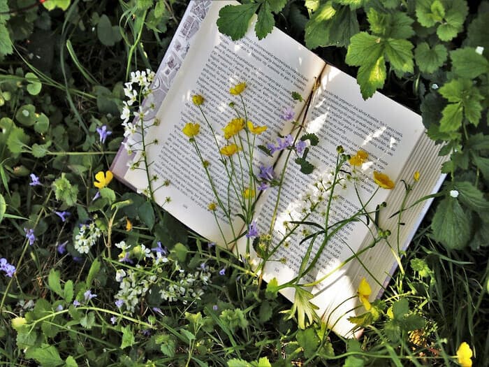 Illustration de l'événement : Carnets nature et autres créations végétales