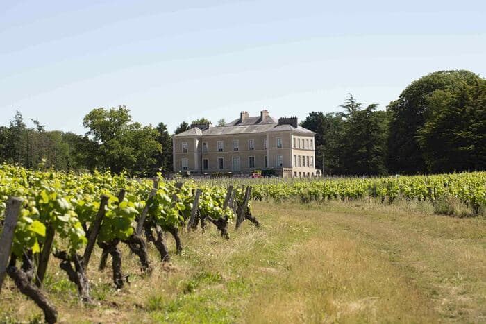Illustration de l'événement : Visite guidée du château du Cléray