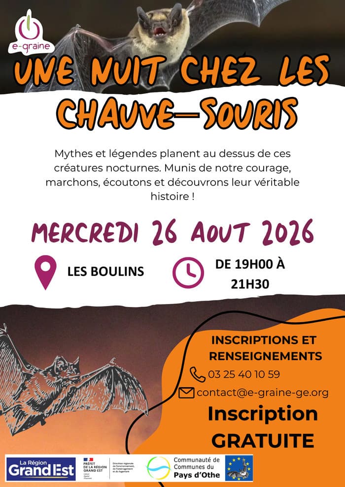 Illustration de l'événement : Une nuit chez les chauves-souris