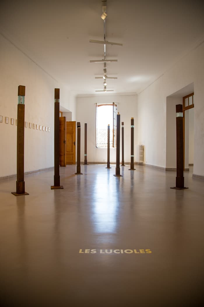Illustration de l'événement : Visite guidée de l'exposition "Les Lucioles"