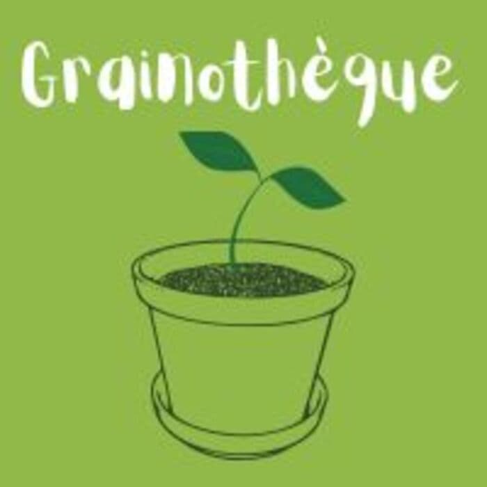 Illustration de l'événement : Atelier cyanotype