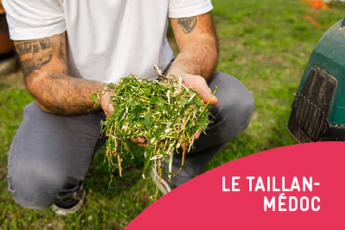 Illustration de l'événement : Jardiner au naturel - Compostage et paillage