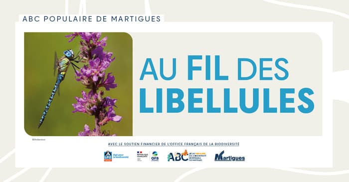 Illustration de l'événement : ABC populaire : "Au fil des libellules"