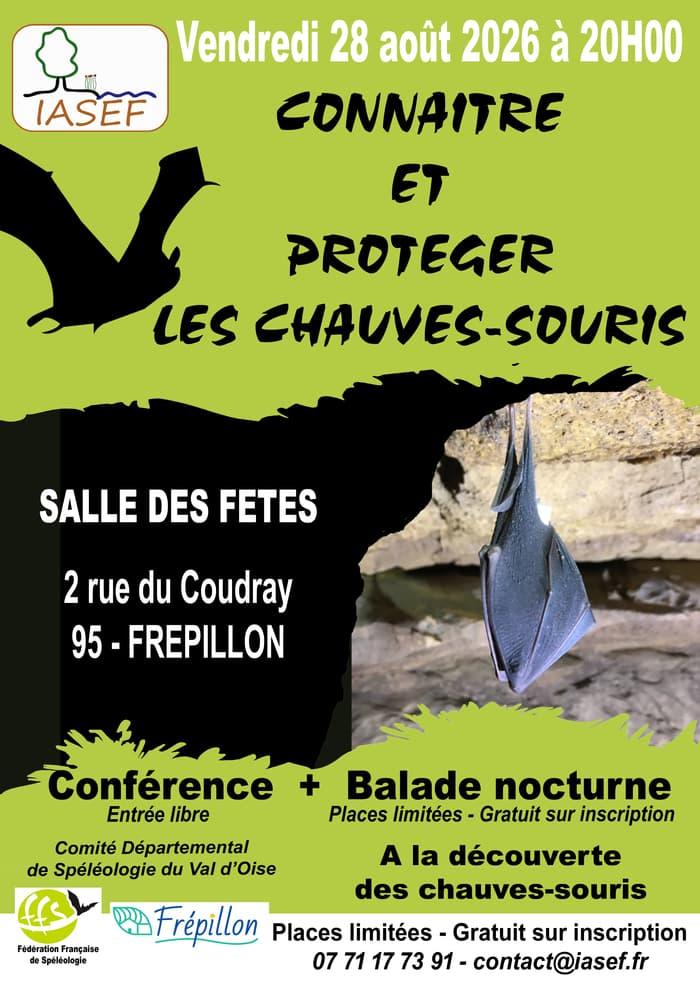 Illustration de l'événement : Sortie à la découverte des chauves-souris