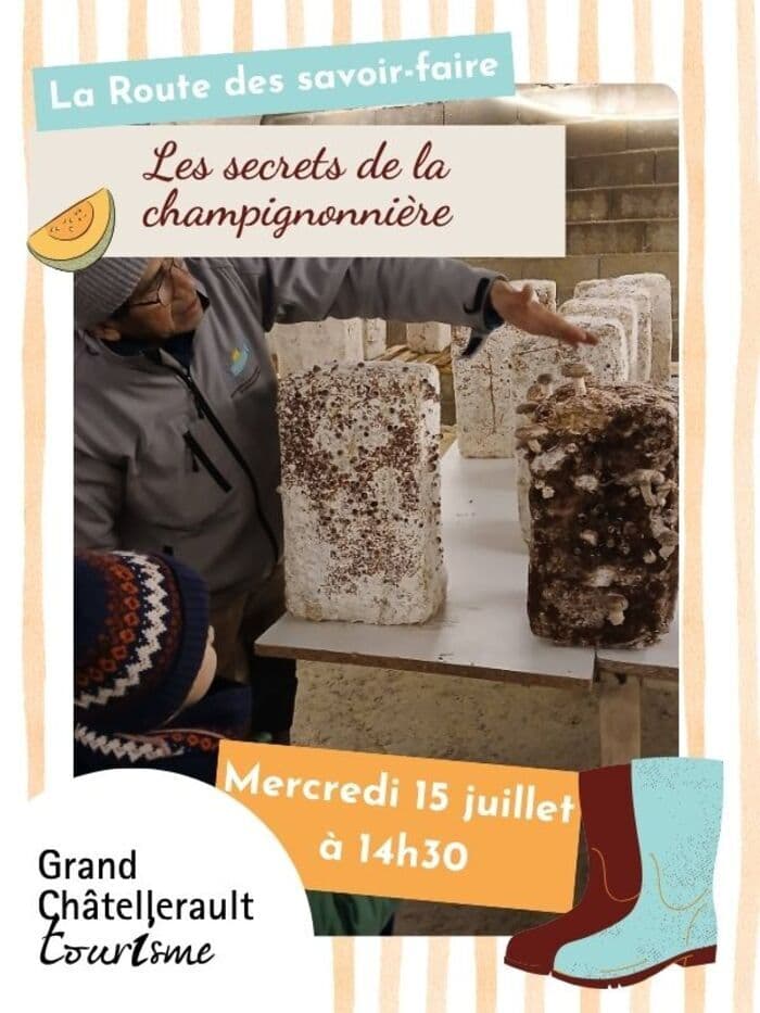 Illustration de l'événement : Les secrets de la champignonnière