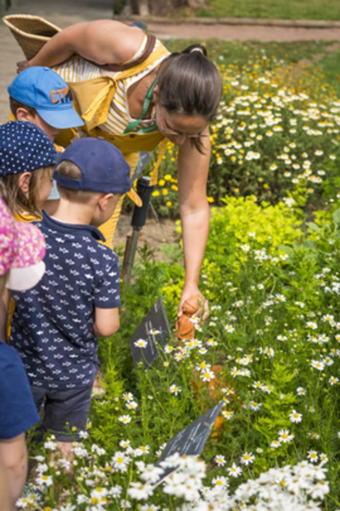 Illustration de l'événement : Atelier "Le Jardin des tout-petits"