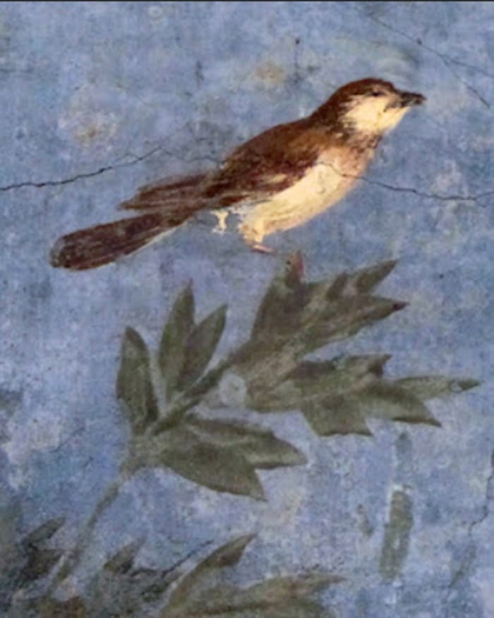 Illustration de l'événement : Conférence “Quand la Nature Inspire l’Art”