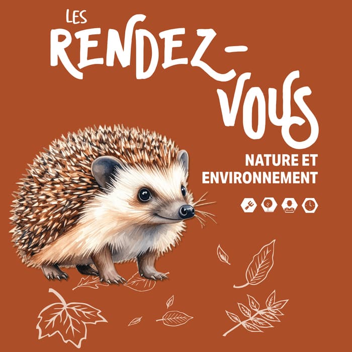 Illustration de l'événement : Les chauves-souris