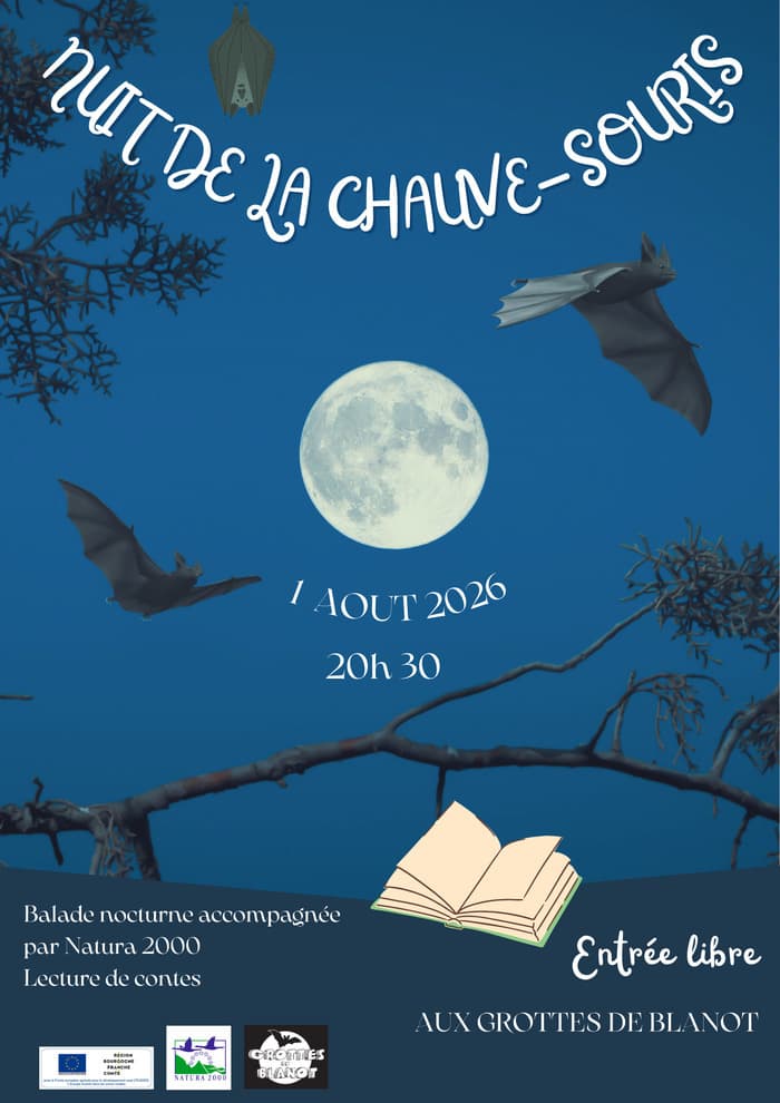 Illustration de l'événement : Nuit de la chauve-souris