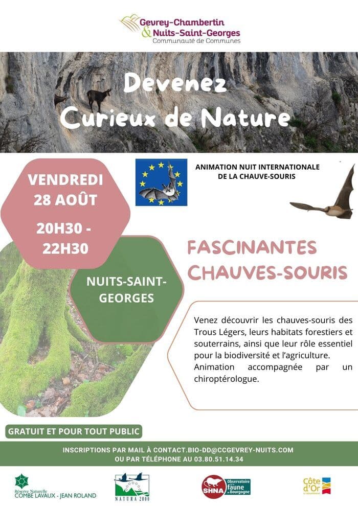 Illustration de l'événement : Fascinantes Chauves-souris