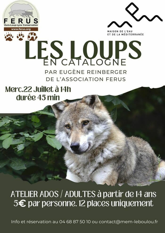 Illustration de l'événement : Atelier les loups en catalogne + de 14 ans