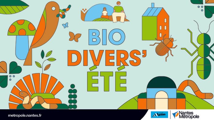 Illustration de l'événement : Inventaire participatif de limaces et d'escargots