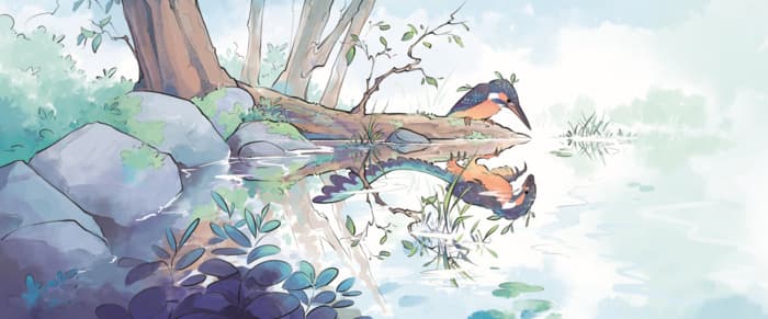 Illustration de l'événement : Tous à plumes