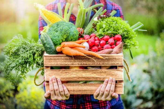 Illustration de l'événement : Récolte et atelier cuisine avec Sens et Savoirs