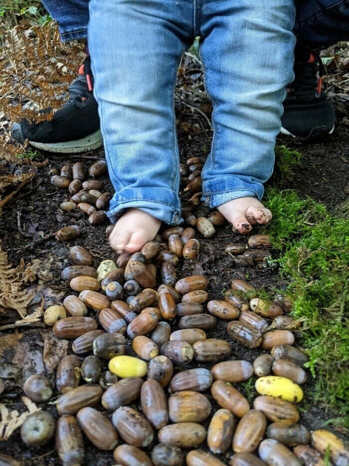 Illustration de l'événement : Eveil sensoriel à la nature pour les tout-petits