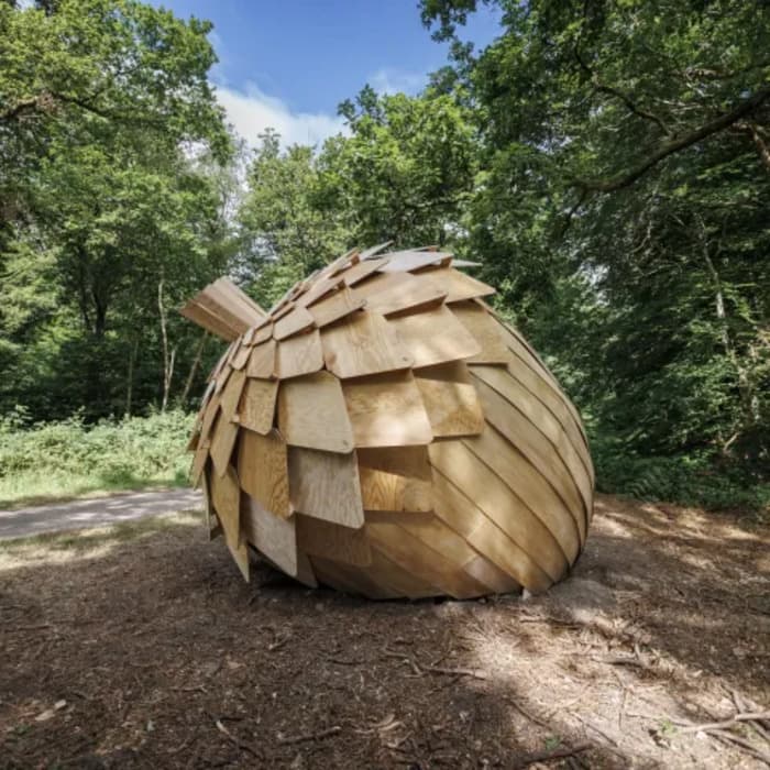 Illustration de l'événement : Rallye Forêt monumentale