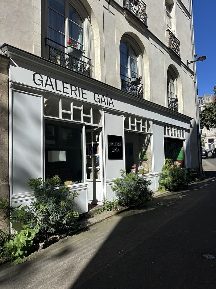 Illustration de l'événement : Collection Jean-François Mollière & Patrick Miara - Galerie Gaïa