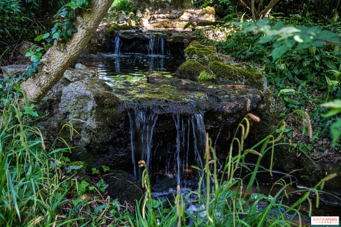 Illustration de l'événement : 🌿Balade guidée estivale :🚶♀️ Balade nature au parc Edmond-de-Rothschild- BOULOGNE-BILLANCOURT