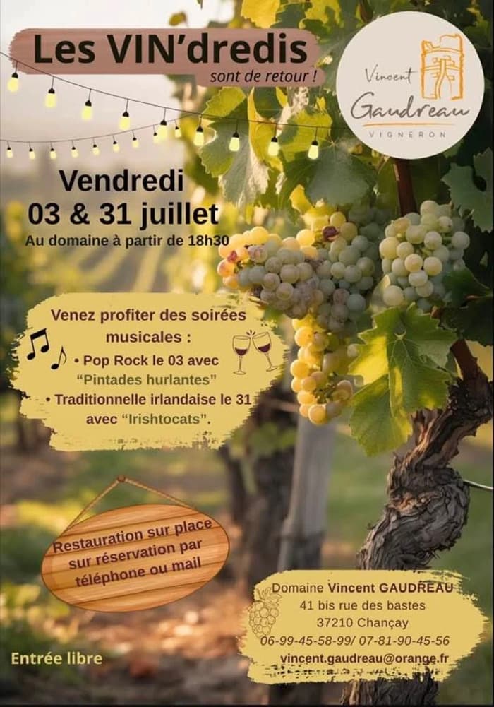 Illustration de l'événement : Les Vin'dredis, concert musique irlandaise