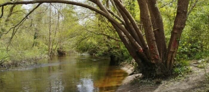 Illustration de l'événement : Pédalons au fil de l'eau : de Cantinolles à la Plaine de Gajac