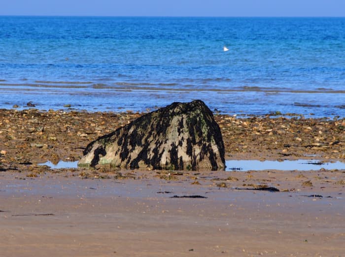 Illustration de l'événement : Les "gas", blocs erratiques venus d'ailleurs le long de la côte de Nacre