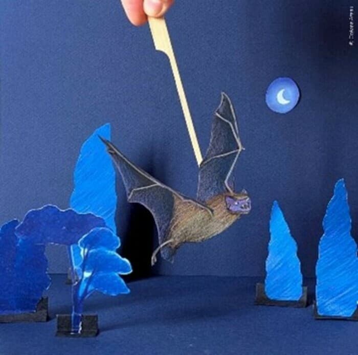 Illustration de l'événement : Atelier d’été : Théâtre de papier, les chauve souris en scène !