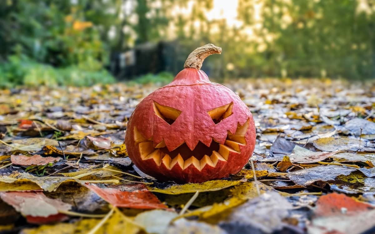 Illustration de l'événement : Halloween : le grand frisson